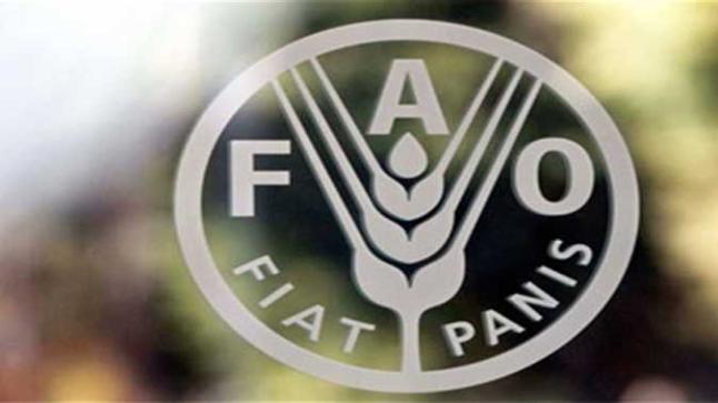 فاو: بعض الموارد العالمية من الأراضي والمياه في خطر بسبب الأنشطة البشرية