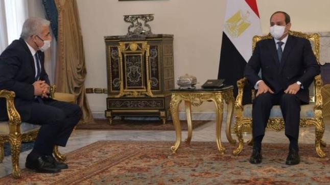 في أول زيارة لمصر .. السيسي يلتقي وزير خارجية إسرائيل