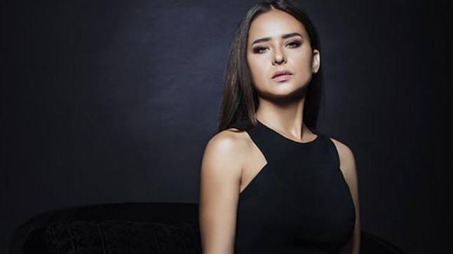 نيللي كريم تطالب الفنانين بتحية شهداء بئر العبد